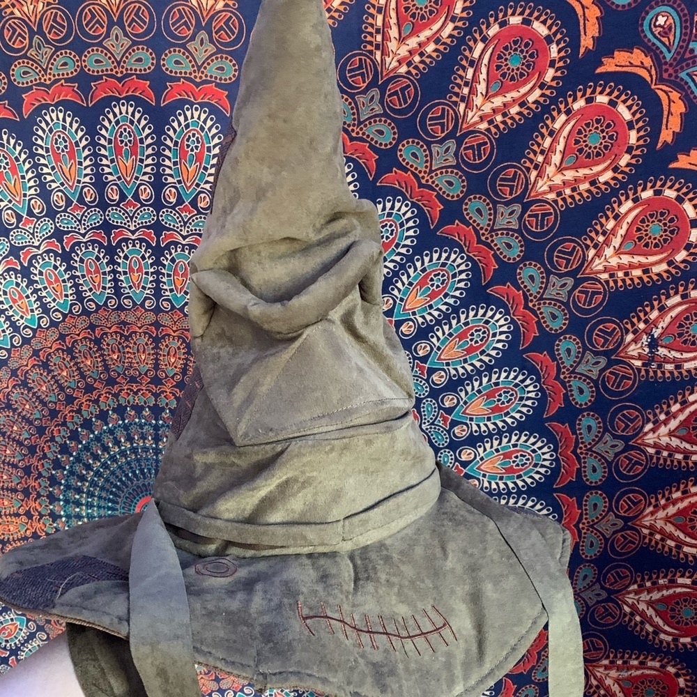 Talking sorting hat